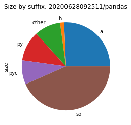 Size by suffix for the `pandas` environment